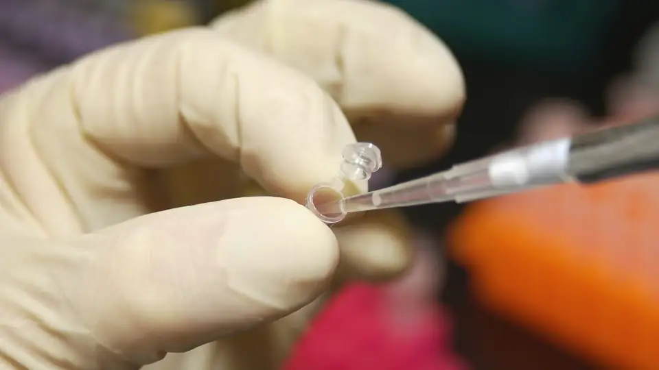Gloved hands using a pipette, close-up