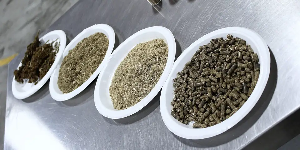 Hemp seed, flour, hearts and pellets in white dishes on a steel table